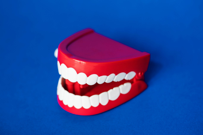 a denture toy