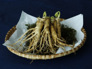 ginseng