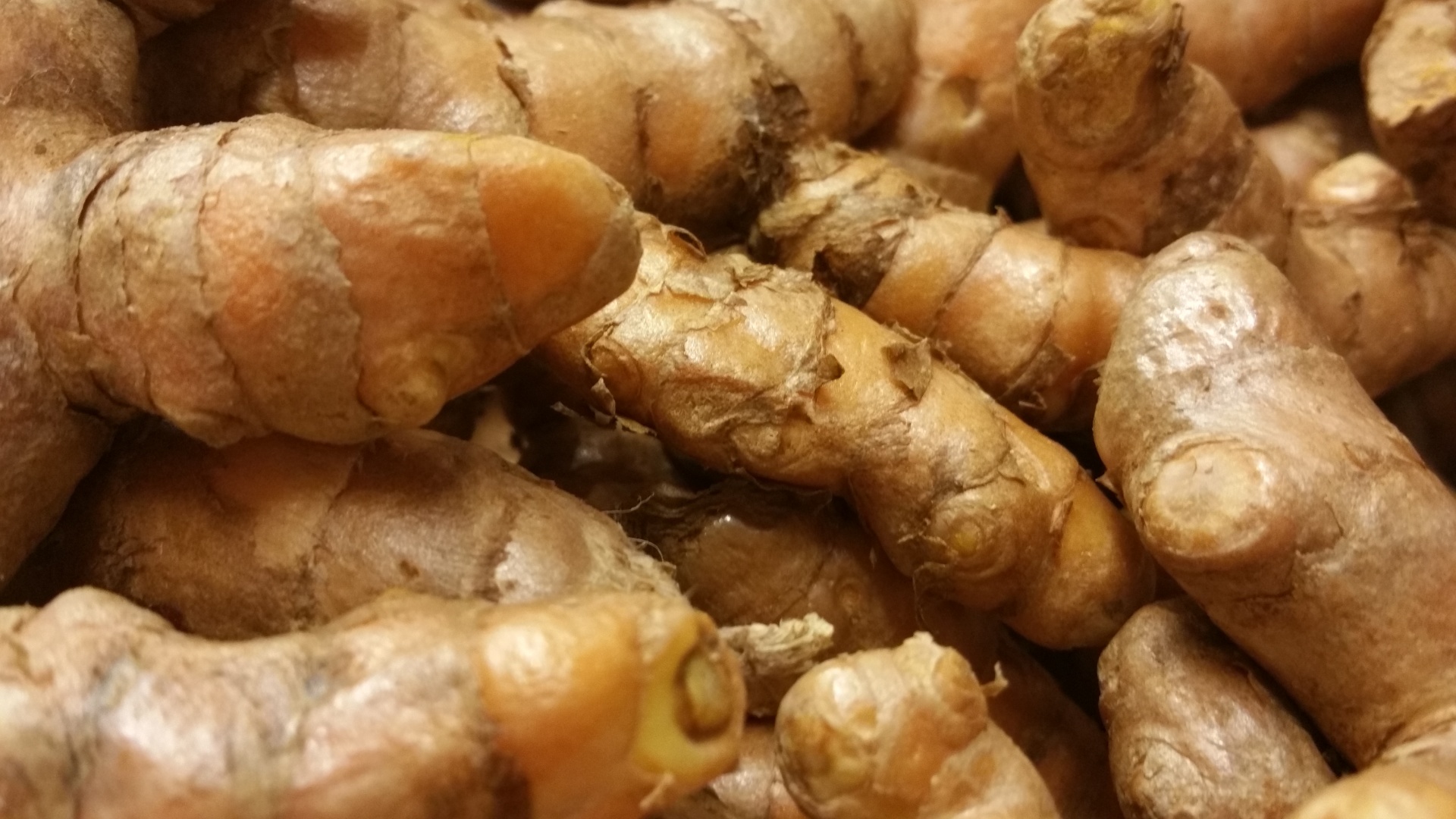 turmeric root